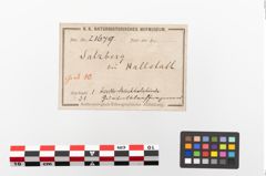 Etiketten zu Bronzegürtelblech (NHMW-PRAE-023679)